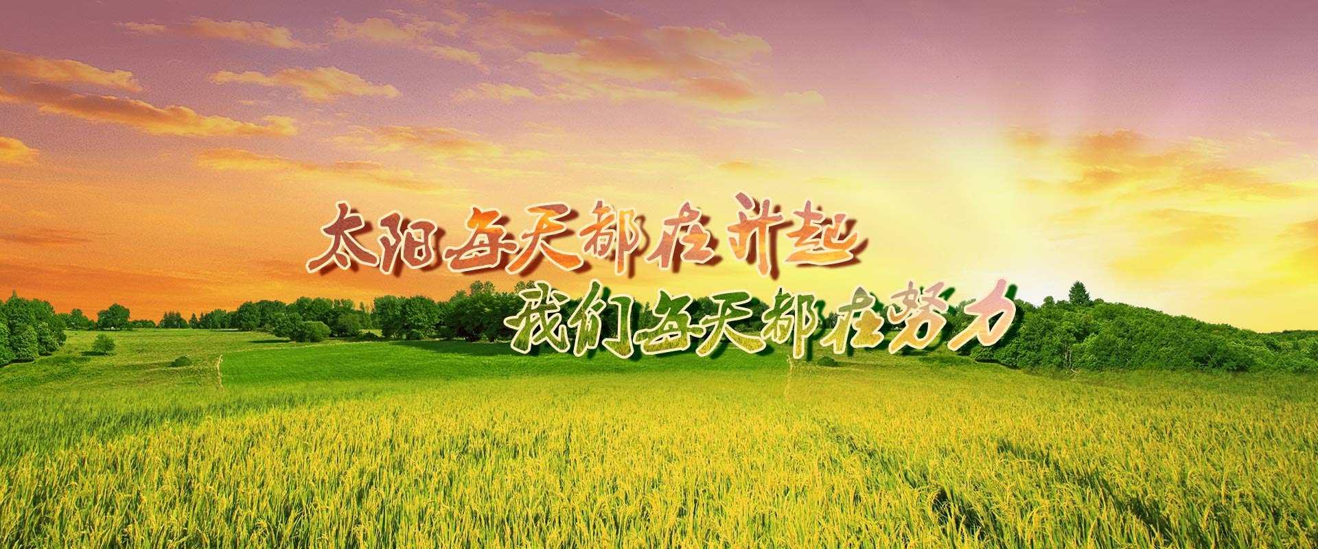 bob官网登录入口